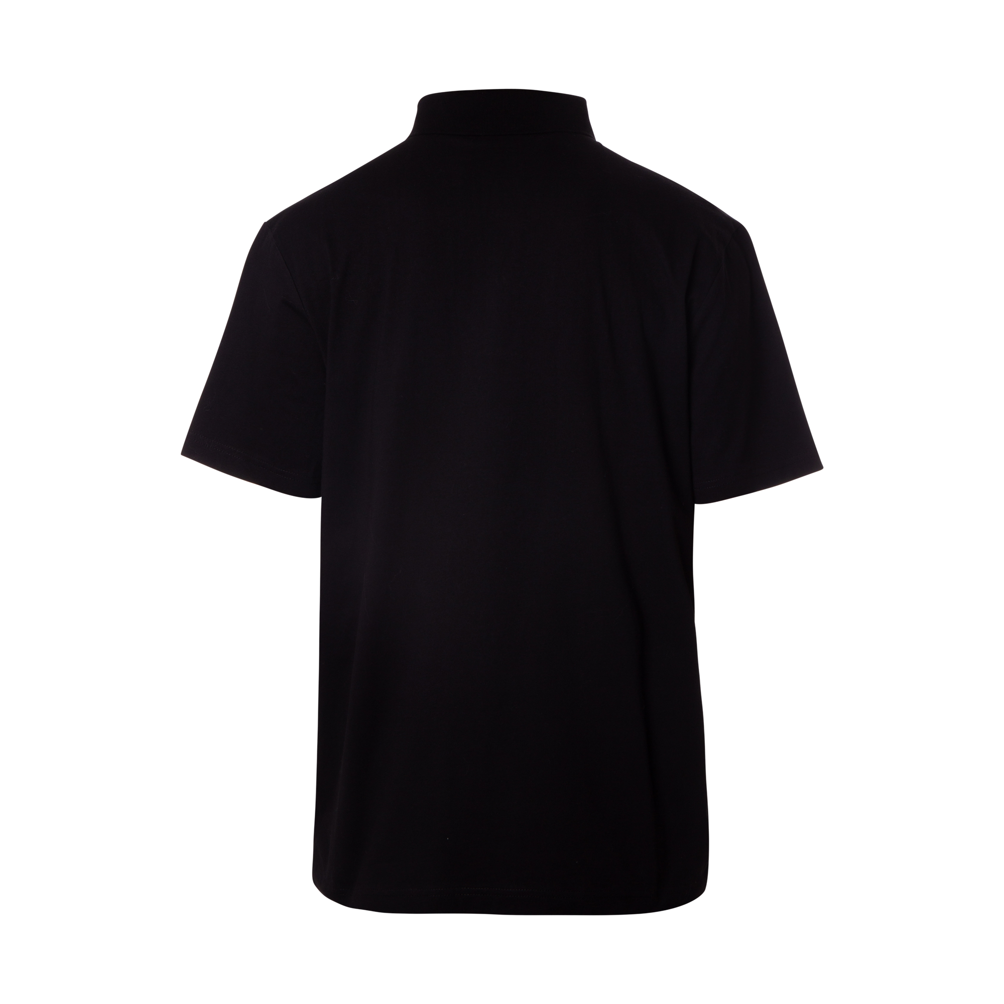 REMERA POLO IMPORTADO